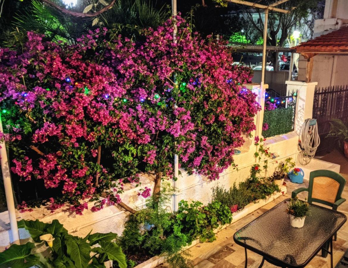 House With Garden In City Of Rhodes Rhodes City Exteriér fotografie